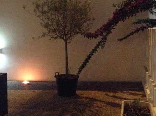 صورة الفندق 21