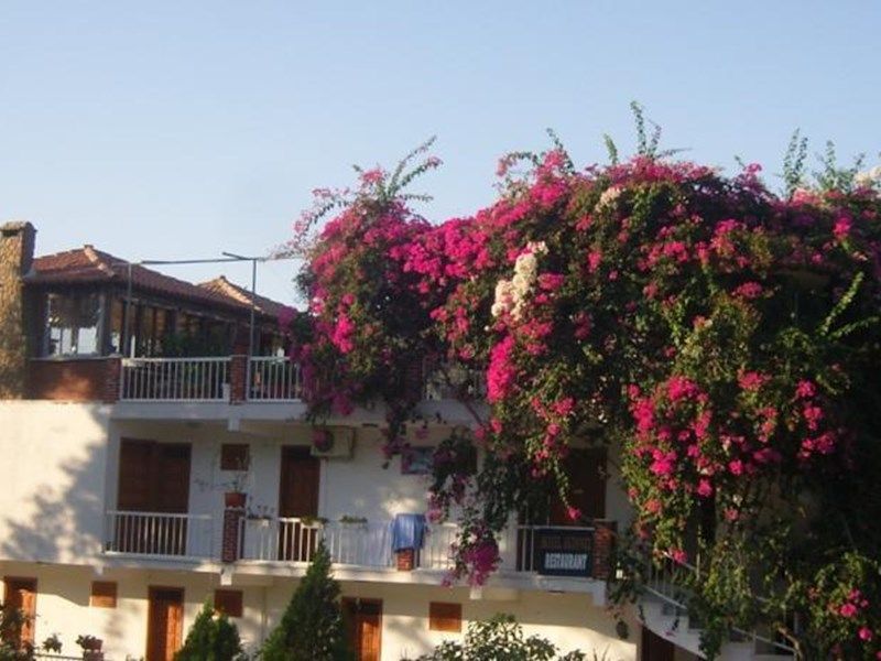 صورة الفندق 2