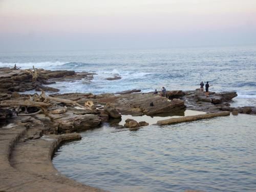 صورة الفندق 22