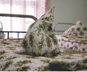 Hostel Plus Khimki Russia