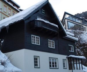 Superior Apartment Rektenwald Bad Gastein Austria