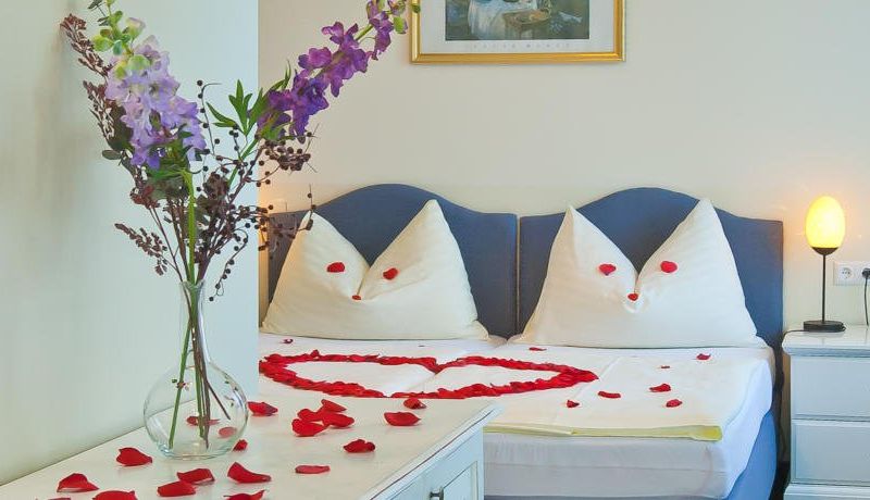 صورة الفندق 12