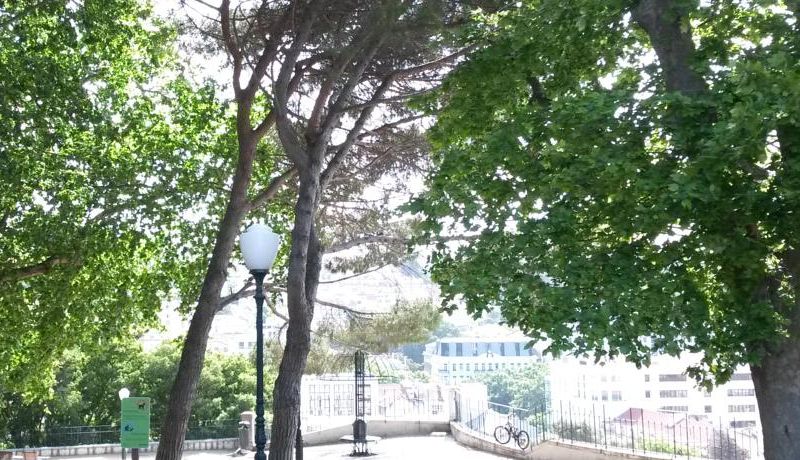 Rossio Garden Hotel