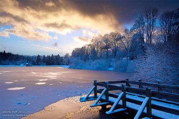 صورة الفندق 20