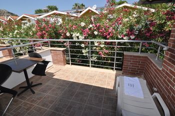 صورة الفندق 16
