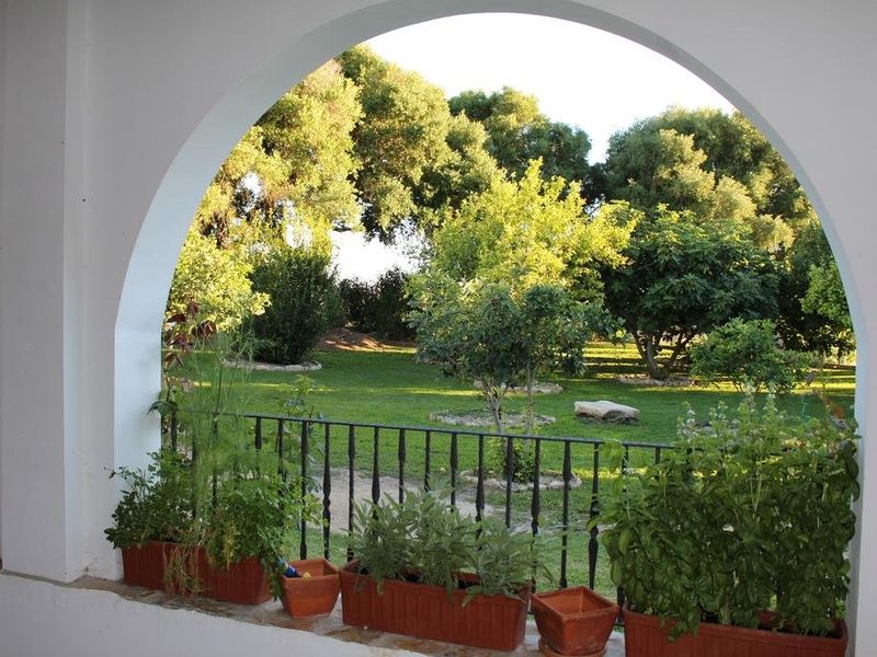 صورة الفندق 20