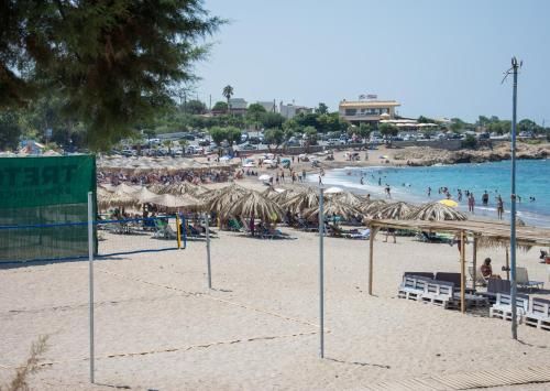 صورة الفندق 14