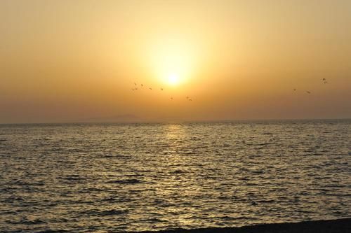 صورة الفندق 21