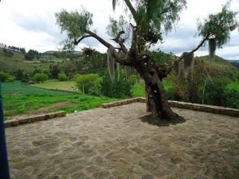 صورة الفندق 21