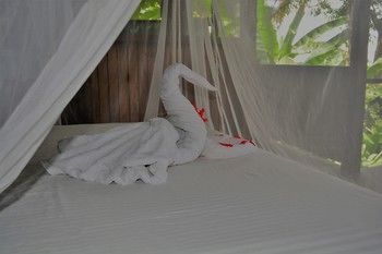 صورة الفندق 24