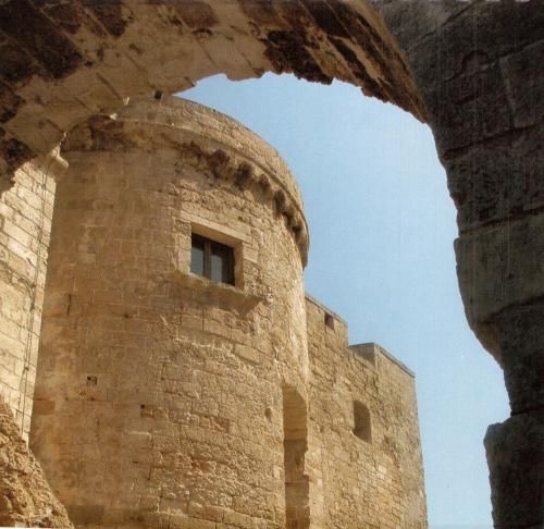 صورة الفندق 16