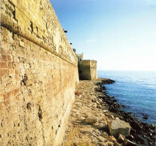 صورة الفندق 19