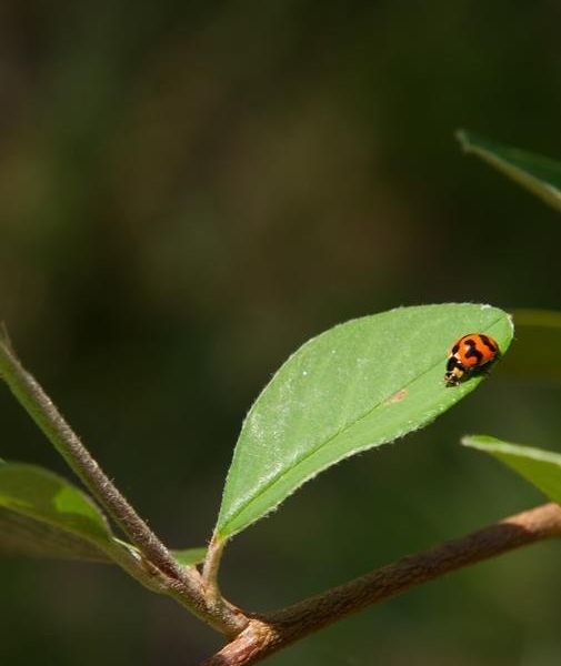 صورة الفندق 11