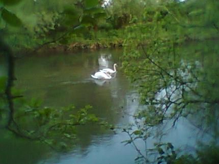 صورة الفندق 4