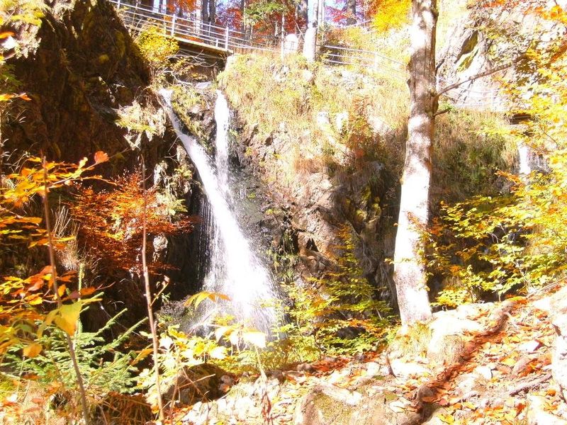 صورة الفندق 22