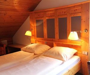 Action Forest Active Hotel B&B Titisee Germany