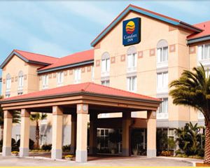 Hotel Comfort Inn Manali India