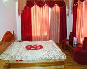 Hotel Chelsea Manali India