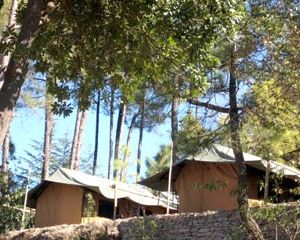 Camp Chrysalid-Junga-38 Kms from Shimla Chail India