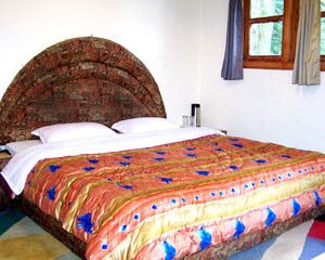 Hotel Monaal Chail India