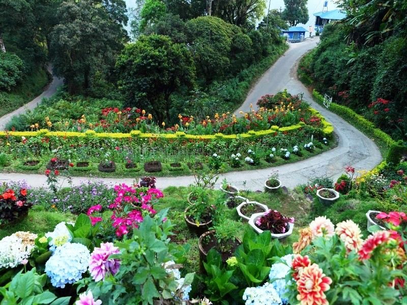 صورة الفندق 17