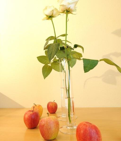 صورة الفندق 20