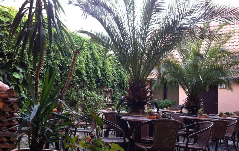 صورة الفندق 21