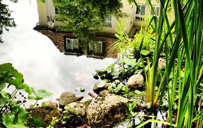 صورة الفندق 16