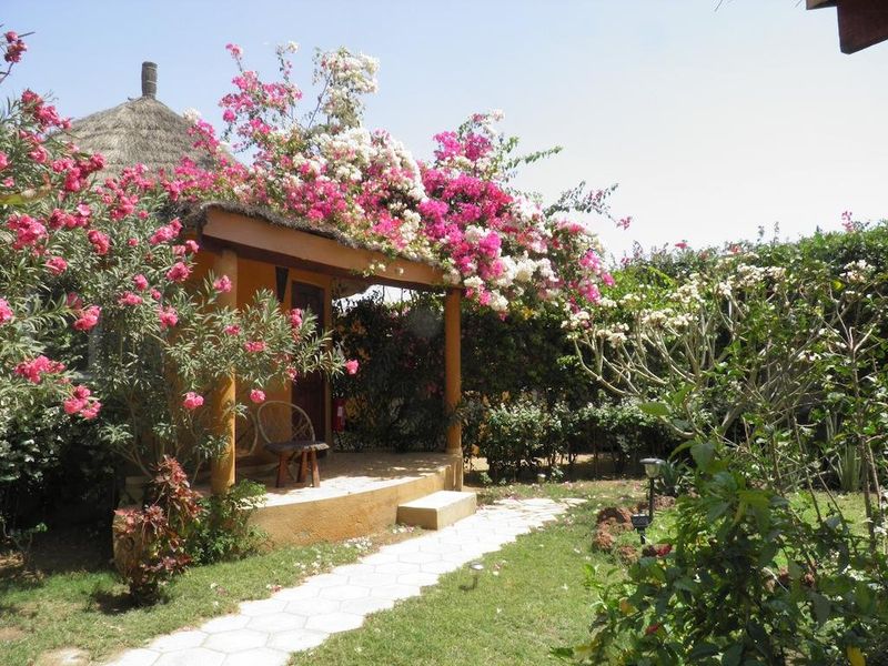 صورة الفندق 10