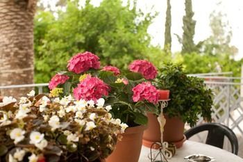 صورة الفندق 19