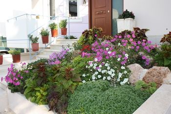 صورة الفندق 24