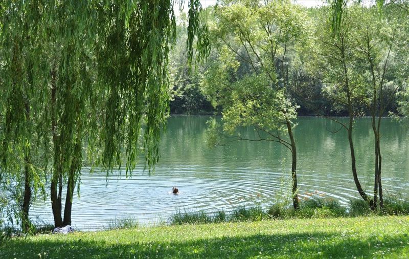 صورة الفندق 11