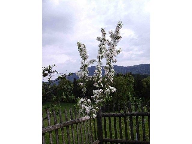 صورة الفندق 6