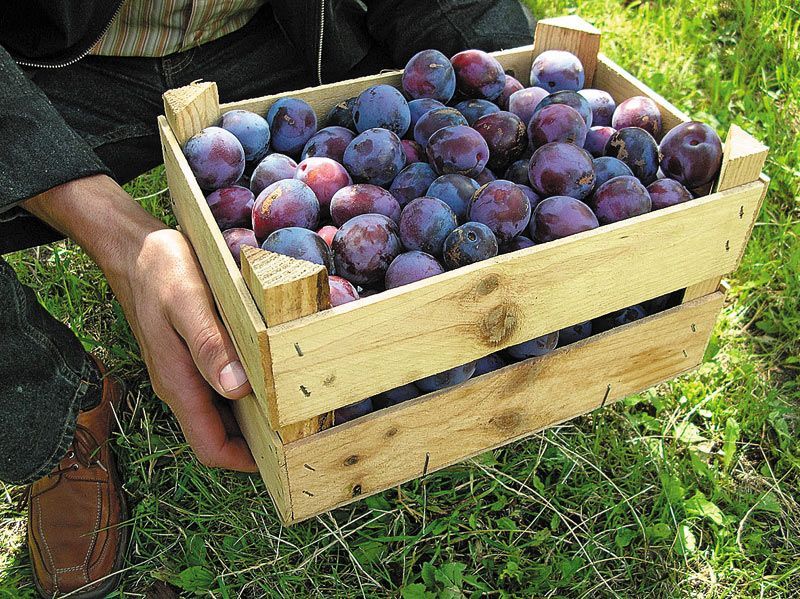 صورة الفندق 15