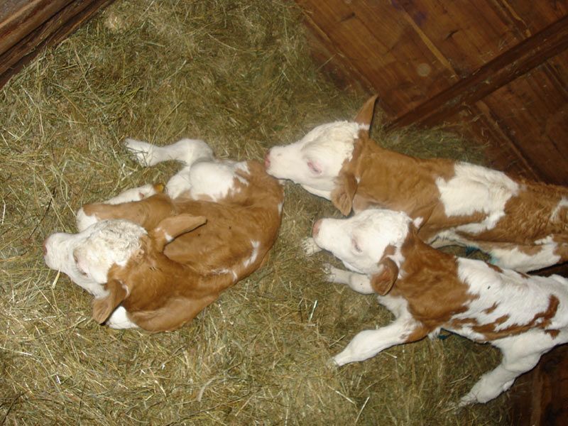 صورة الفندق 10