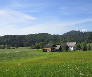 Bauernhof Hofbauer Ebenau Austria