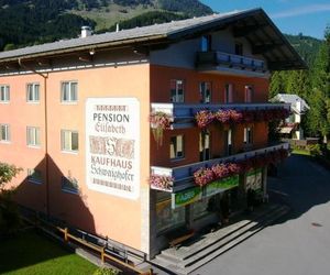 Pension Elisabeth Russbach am Pass Gschutt Austria