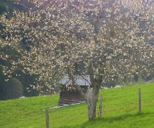 Ederbauer Saalbach-Hinterglemm Austria