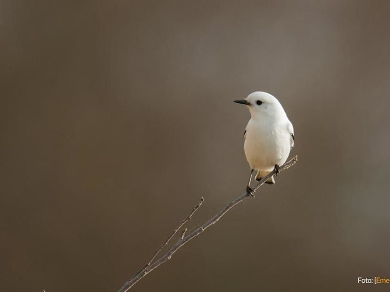 صورة الفندق 14
