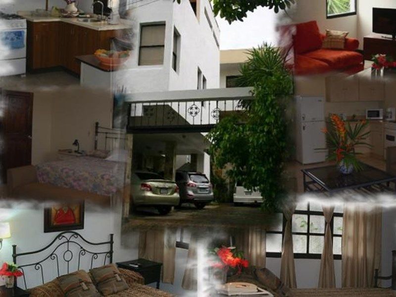 صورة الفندق 12