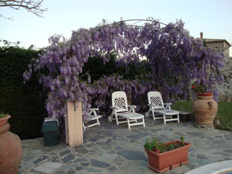 صورة الفندق 5