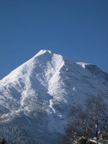صورة الفندق 21