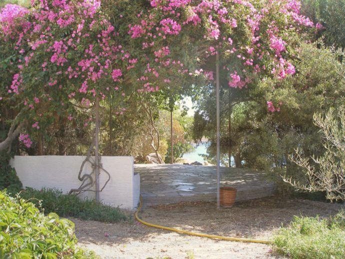 صورة الفندق 14