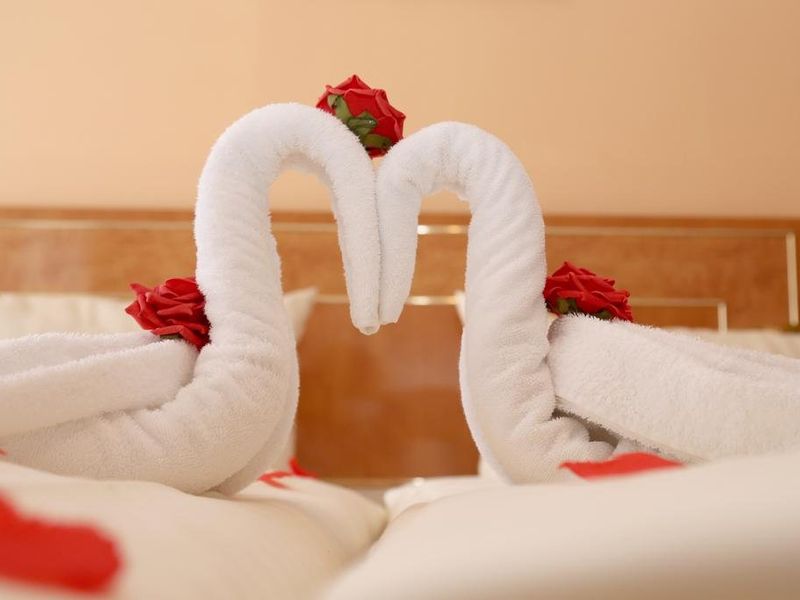 صورة الفندق 6