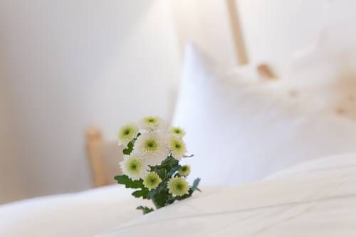صورة الفندق 18