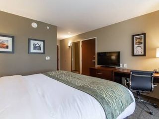 Hotel pic Comfort Inn & Suites - Harrisburg Airport - Hershey South