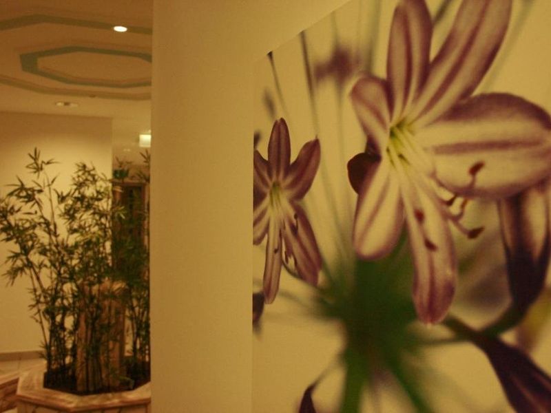 صورة الفندق 20