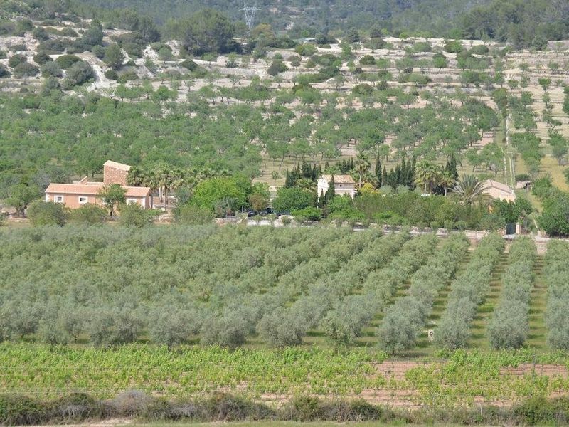 صورة الفندق 8