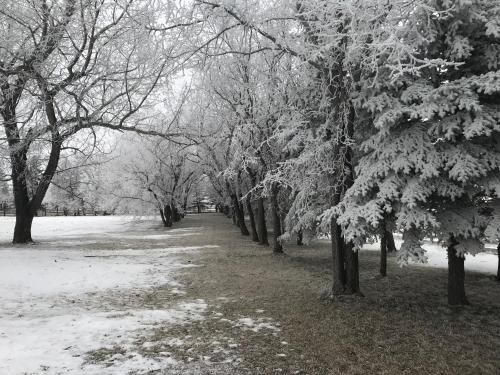 صورة الفندق 16