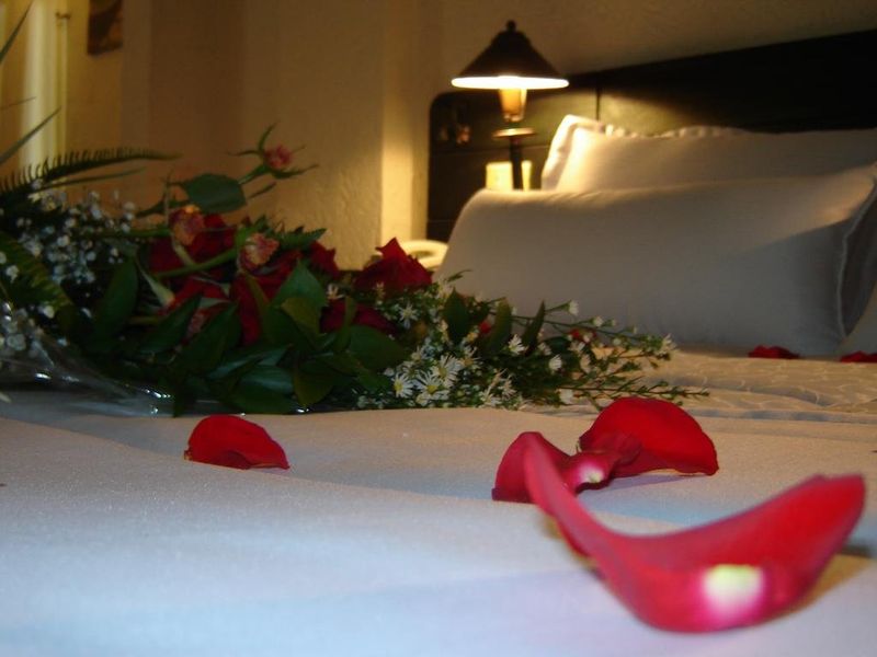 صورة الفندق 19